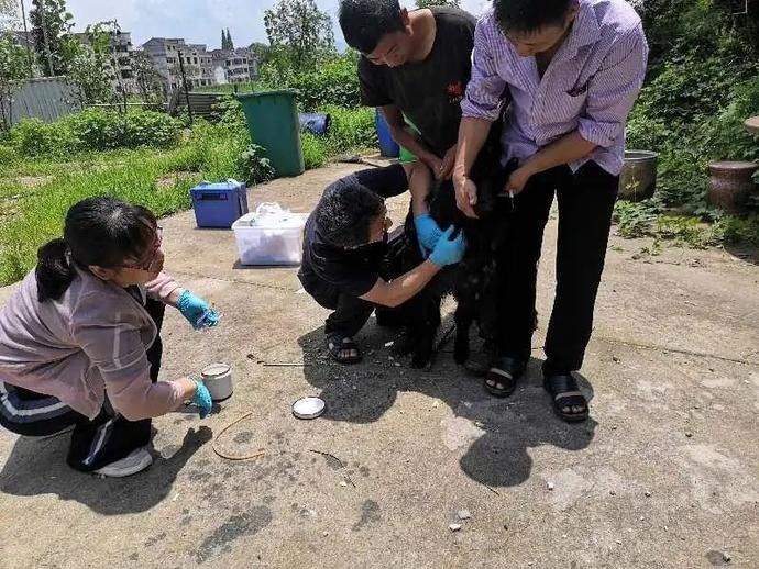  市疾控中心|高发期！野外活动千万要小心这种虫子！