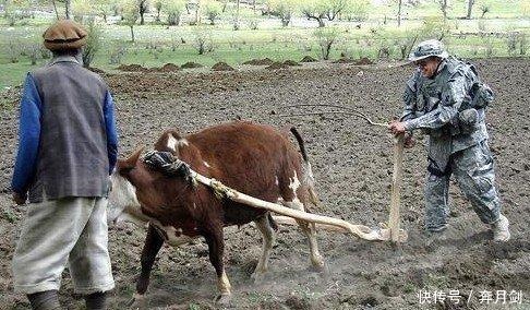 政治|军事搞笑系列,带你感受别样的欢乐