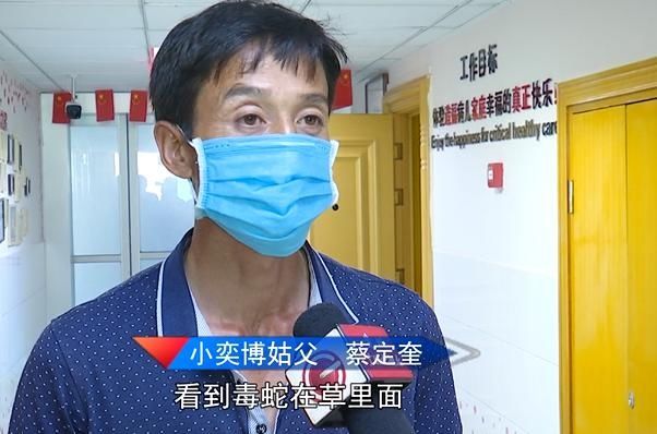  上山|命悬一线！贵州4岁男童上山采蘑菇，不幸被蛇咬伤