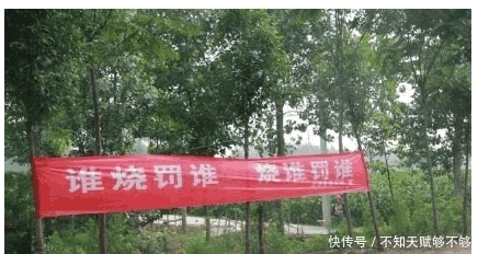 标语|实拍皖北“雷人”标语, 是让农民害怕, 还是让农民敬畏呢?