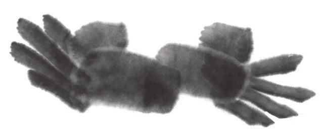  画法|怎么画鱼虾蟹蛙、写意《趣》画法