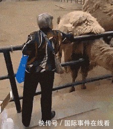 来撑|这伴娘怕不是来撑场子是来砸场子的吧!哈哈哈