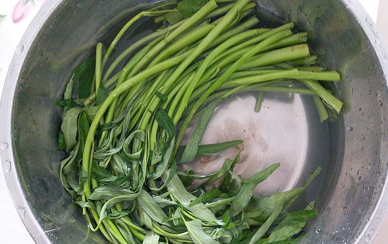  蔬菜|蔬菜界的“绿色精灵”，营养价值比番茄高，常吃洁齿口臭没了