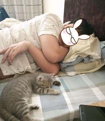  睡姿|猫咪和男主同睡一床，看到这两个家伙的睡姿，真是让人忍俊不禁