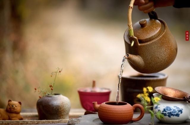 绽放|佩服!你真是懂茶的人,明白茶叶的三次生命绽放