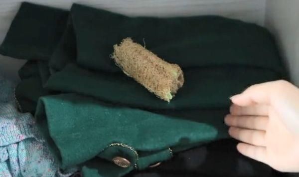  丝瓜瓤|在农村丝瓜越老越“值钱”，只用来洗碗太可惜了，却不知有大用处