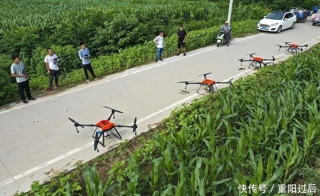 T16|巴基斯坦蝗灾防治新进展:大疆T16植保无人机派上大用场