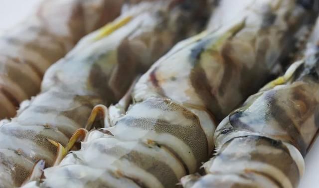 重点|传说中“最有骨气的海鲜”?有多好吃才是重点