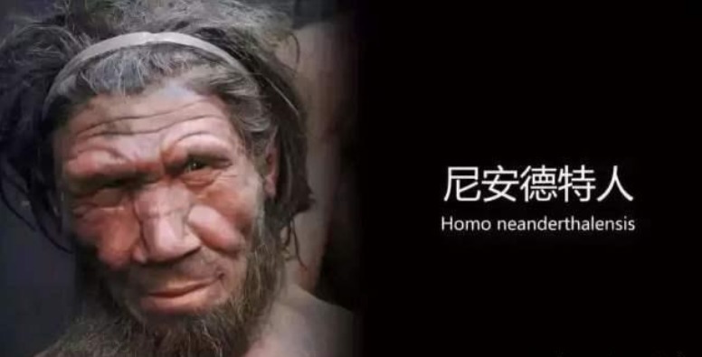  万年前|考古学家深入地下洞穴，发现23万年前人类，有残酷的一面