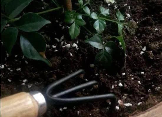  方法|无机肥用久了，土壤容易变“硬块”怎么办？教你3个“方法”解决