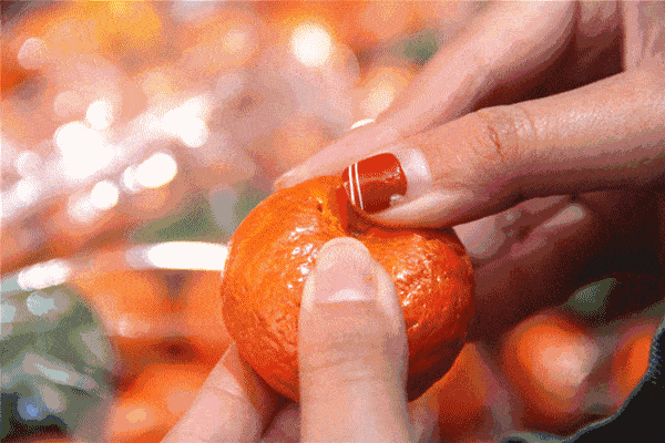 研究|清华最新研究：果糖“有毒”，扔掉果汁，少吃水果吧