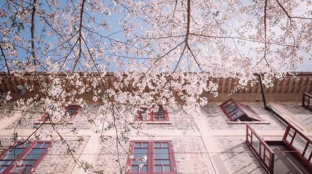 重启|105120个小时的耕耘,重启之路,大学专业是敲门砖,能力才是王道