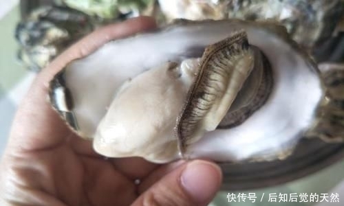 诱惑|美食诱惑,蒸生蚝,冷水下锅还是热水下锅,蒸几分钟?做好了鲜美好吃