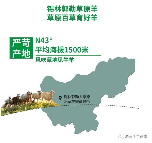  部位|「小羊故事」夏天，不干这件事儿可惜了