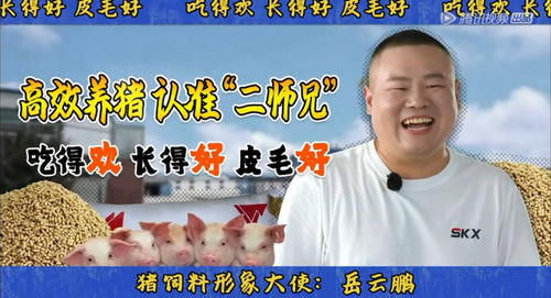  在线|老秦在线征婚说要求，栾队为九郎开设广告部，岳岳自黑代言猪饲料