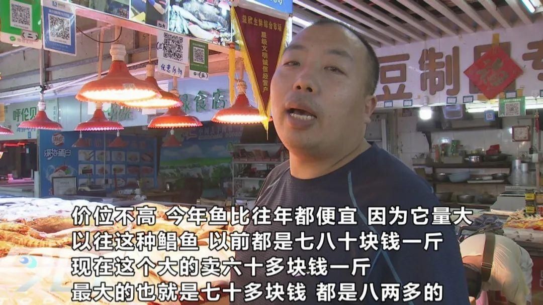 海鲜|青岛海鲜市场现大鱼!这么多海鲜,你最爱哪个?