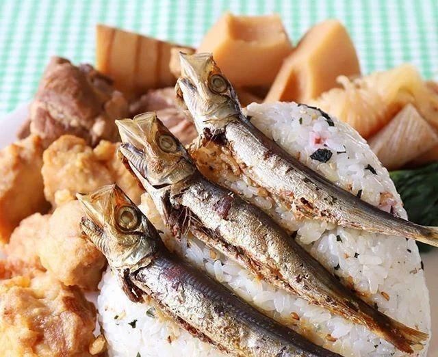  纷纷|日本网友晒奶奶做的饭团走红ins，网友纷纷点赞：这样吃太丰盛了