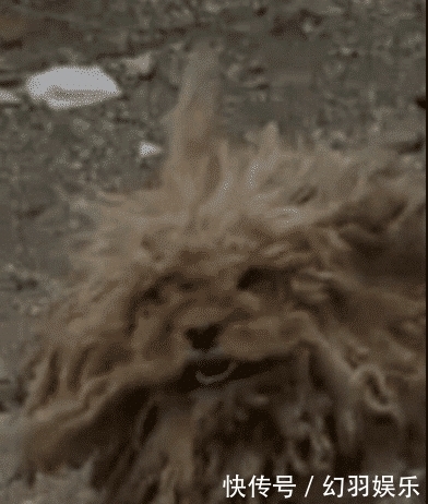 造作|笑死我了,大家看一下我的腿美嗎,來呀造作呀,反正有大把時光,