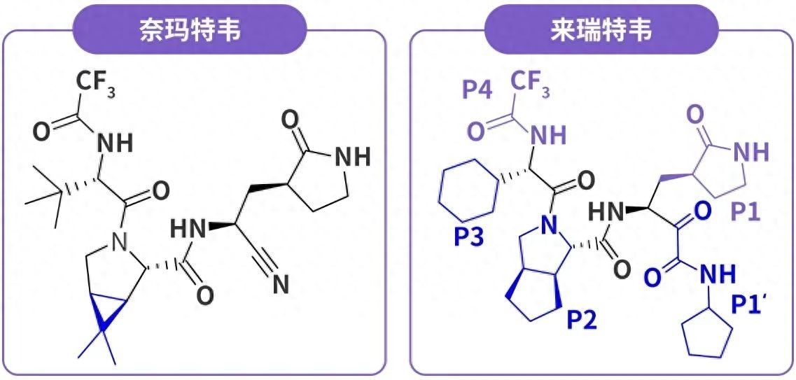 新冠病毒疫苗多长时间能产生抗体(证实！新冠病毒暴露时间越长越易感染，疫苗、自然免疫抗体也失效)
