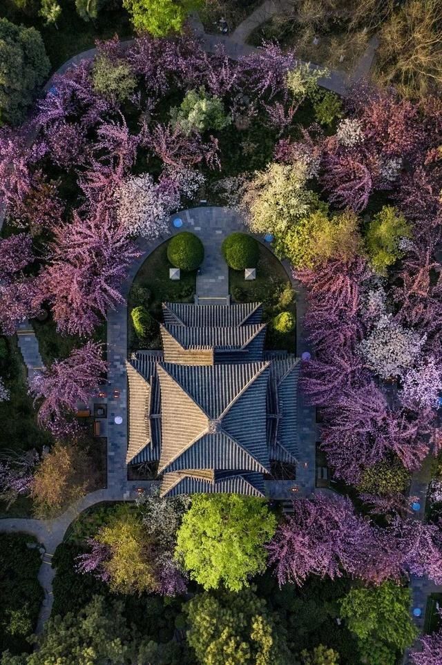  星球|一夜爆红上榜孤独星球！这个古城美食不输成都，景区免费高铁直达