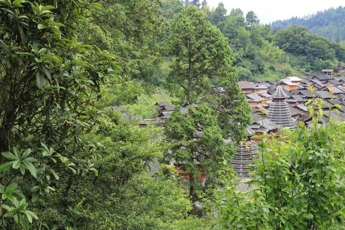 黄岗|村光灿烂 | 如果认识陶渊明,我一定让他到黄岗来。