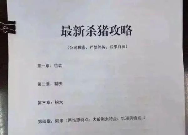 诈骗|你对象邀你一起赚钱了吗？“杀猪盘”诈骗集团18人被公诉！