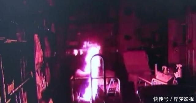 打瞎|小伙玩“水弹枪”打瞎猫咪,充电又把宠物店烧了,店主曾多次劝说