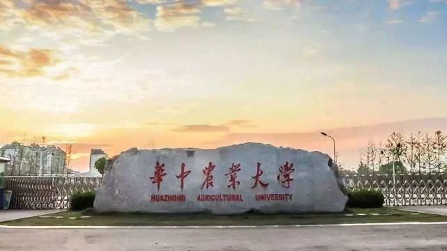 东华大学|这21所普通“211”大学中的“黄金”专业被疯抢,考上不比清华北大差