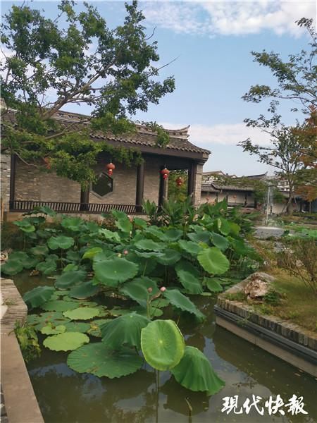 没想到|吴承恩故居现“水帘洞”,游客:没想到跟厕所合影得排队