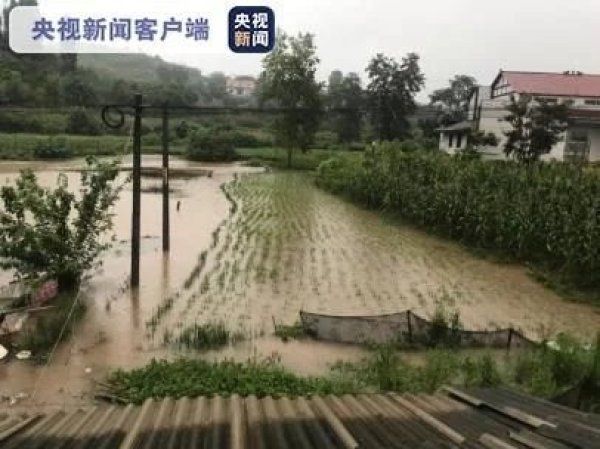 强降雨|四川威远遭遇22年来最强降雨 造成221户750余人受灾