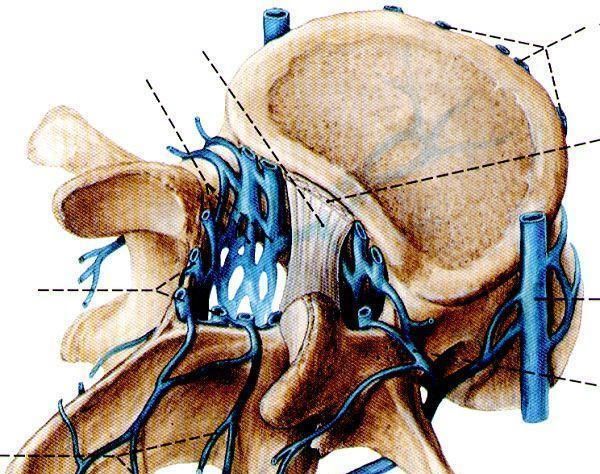  身体|身体出现这3个表现，说明椎管变狭窄了，你却浑然不知！