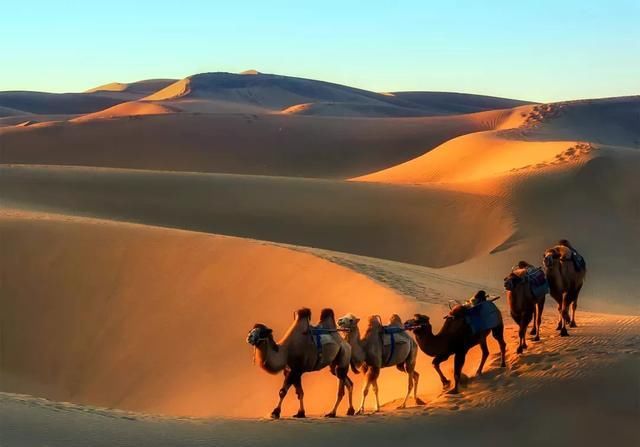  喀什古城|被“极挑”男人帮们安利了一座城，看了风景还无形中还“追了星”