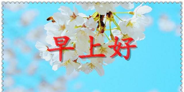 http://p4.img.360kuai.com/t01c3bec6cbd05011d5.png?size=640x646?size=640x646|这些句子对女孩子来说既合理又痛苦