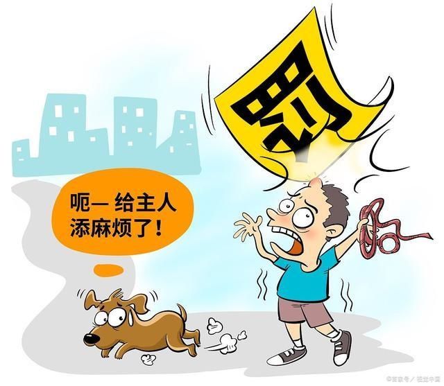  犯罪嫌疑人|遛犬未拴犬绳！狗主人咬伤民警……被刑拘！