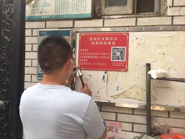 市民|郑州金水区推出“随手拍”，请市民举报不文明养犬行为