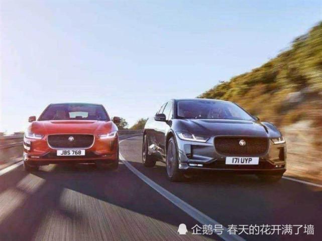  不准|自动挡汽车也有“3不要5不准”？老司机：这都不懂，还开什么车？