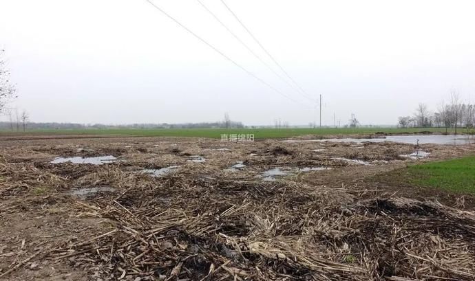 粪污|处置秸秆、畜禽粪污难？看“绵阳造”出妙招！