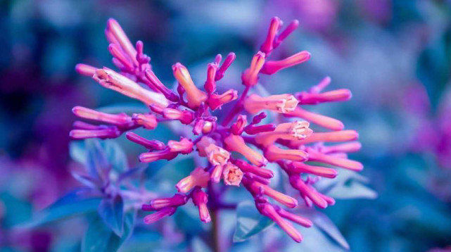 赚钱|下周开始能有好运缠身, 贵人指点, 生意顺顺利利, 赚钱增多的生肖