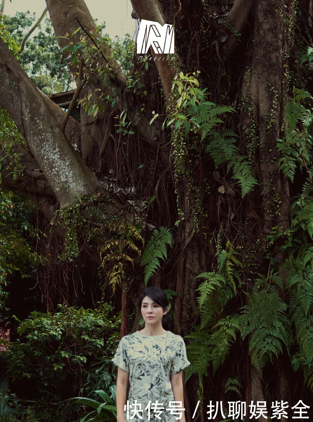  迟暮|美人不迟暮！杨采妮的图集