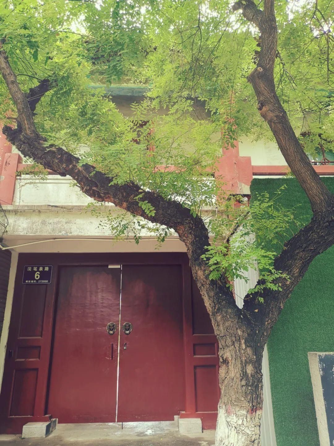  济宁|瞒不住了！济宁这些“隐秘的角落”必须曝光