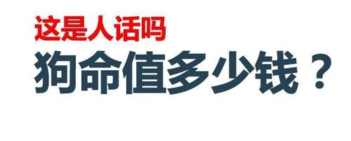 女子|女子自称北大博士后，网上评准研究生虐狗：一条狗命能值几个钱