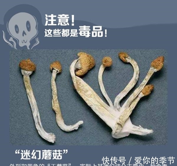 记住|转给更多人! 记住这些穿马甲的新型毒品, 千万别碰! 谨慎对待陌生人给的东西
