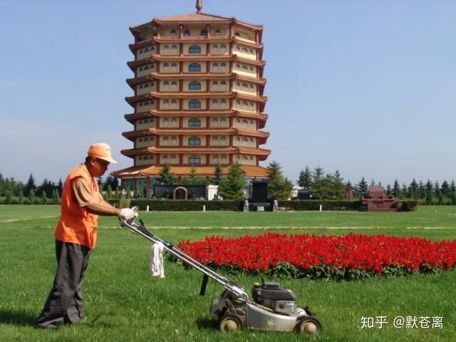 上进心|为什么有的人年纪轻轻就没了上进心和欲望，躲在舒适区只想安逸地生存？