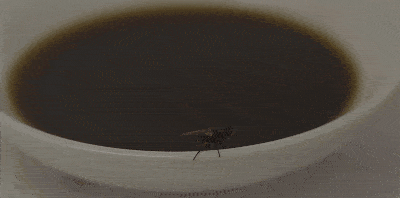 好好密封|酱油“长虫子”,是质量问题吗?可能是这一步没做好,很多人出错