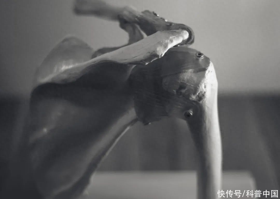 不要总是空想直角肩(还在追求直角肩？快放过自己的肩膀！)
