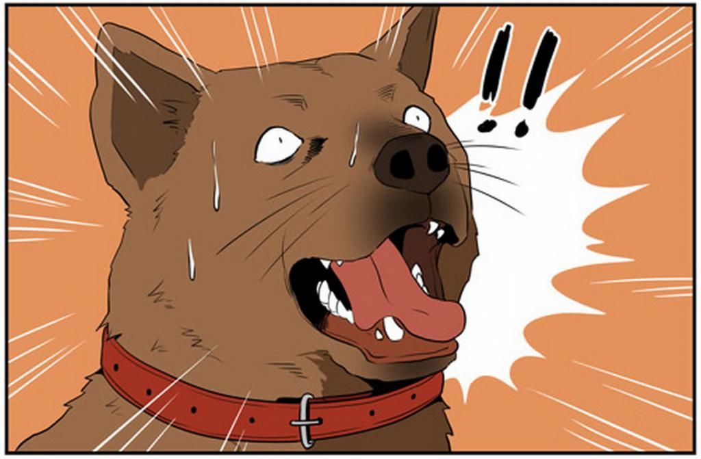  这次|搞笑一刻：宠物狗每次都能救下落难的男孩，但这次男孩一点也不感激