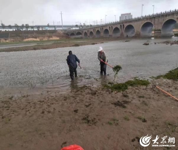 济宁市兖州区酒仙桥街道绘就河湖新画卷 共建生态酒仙桥