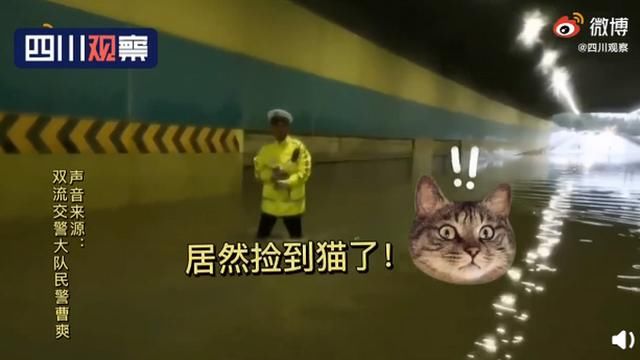  恭喜|因祸得福！交警暴雨中救起小橘猫留下当警喵 网友：恭喜获得编制