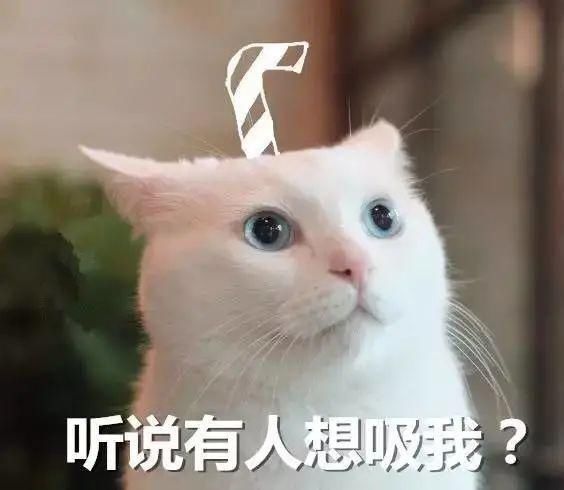 电信|反电信诈骗 | 因为“云养猫”,6000多人被骗上亿元!