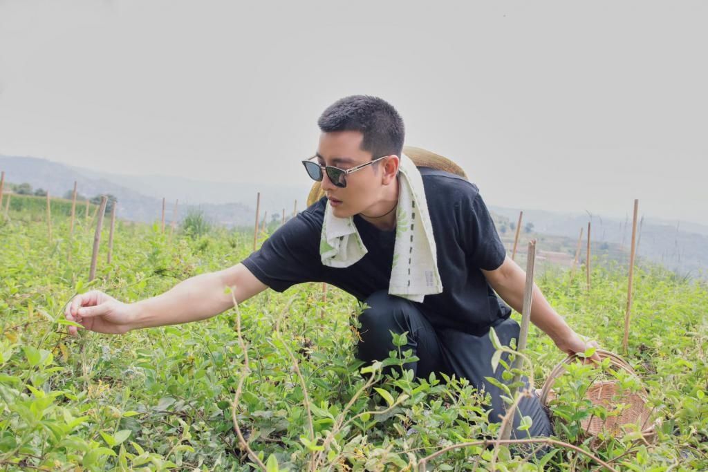  贾乃亮|综艺 | 看到金银花，贾乃亮唱起了《花心》